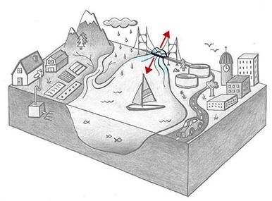 Grayscale cross-section of an ocean bay with landscape. Clockwise from the left are a farm with septic system, a mountain and river, an ocean inlet, a wastewater treatment plant, a road, and a city. The inlet is colored blue, and red arrows show that water passes through this inlet.